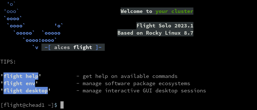 Flight Start Command